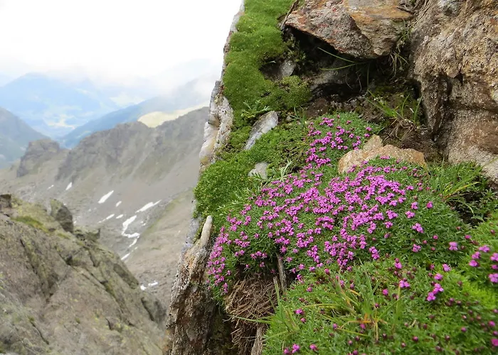 Jennys Huamatl Serfaus