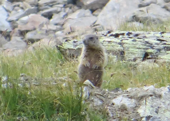 Pensionat Jennys Huamatl