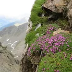 Jennys Huamatl Serfaus