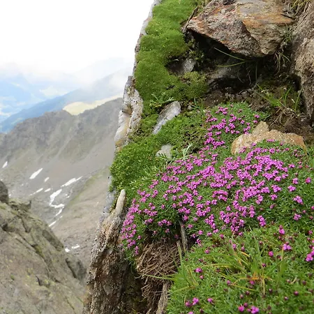 Jennys Huamatl Serfaus